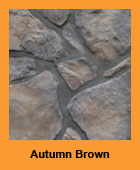 fs_autumn_brown.jpg