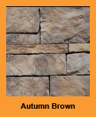 sf_autumn_brown.jpg
